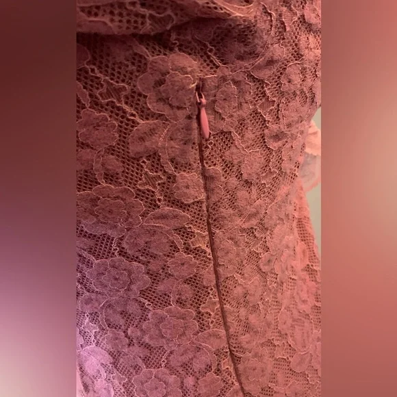 NWT LoveShackFancy Pink Lace Mini Dress - Picture 6 of 6